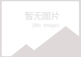 盐池县夏岚能源有限公司